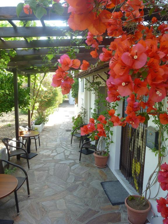 Golden Sun Otel Kokkari Dış mekan fotoğraf