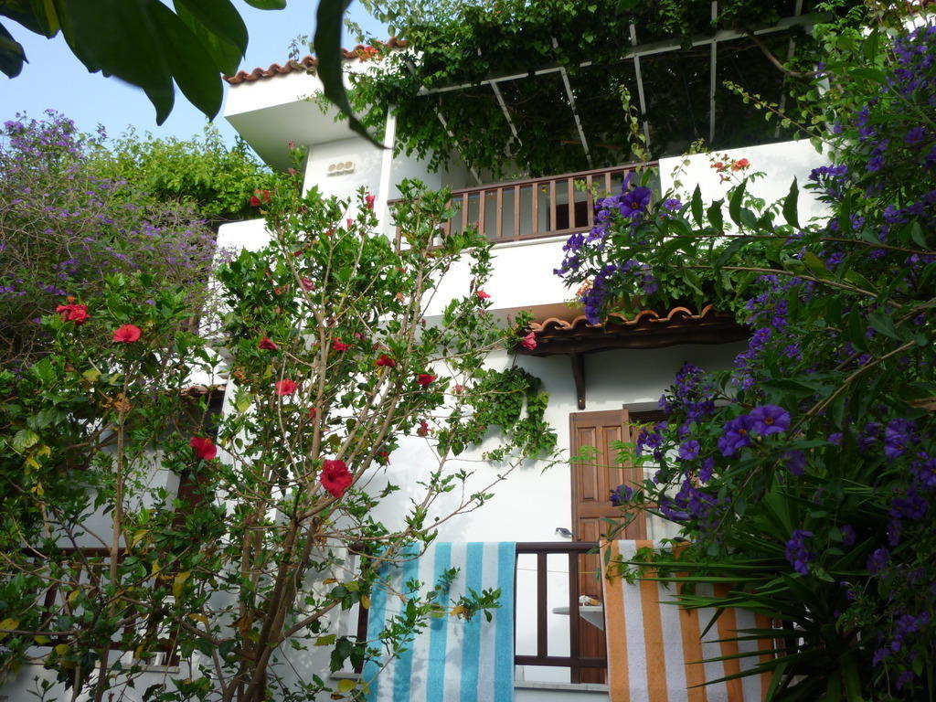 Golden Sun Otel Kokkari Oda fotoğraf